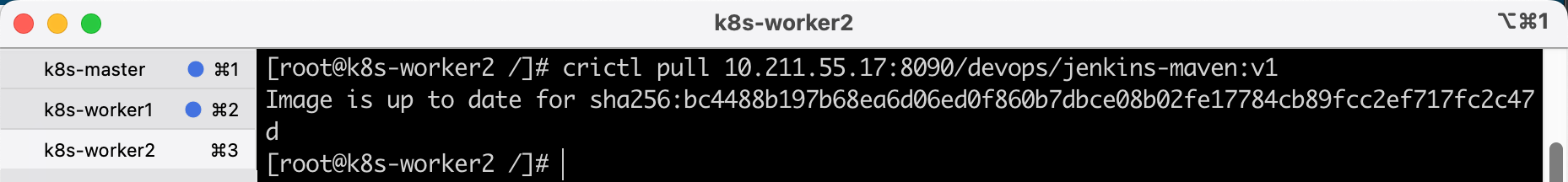 image-20241020155727915